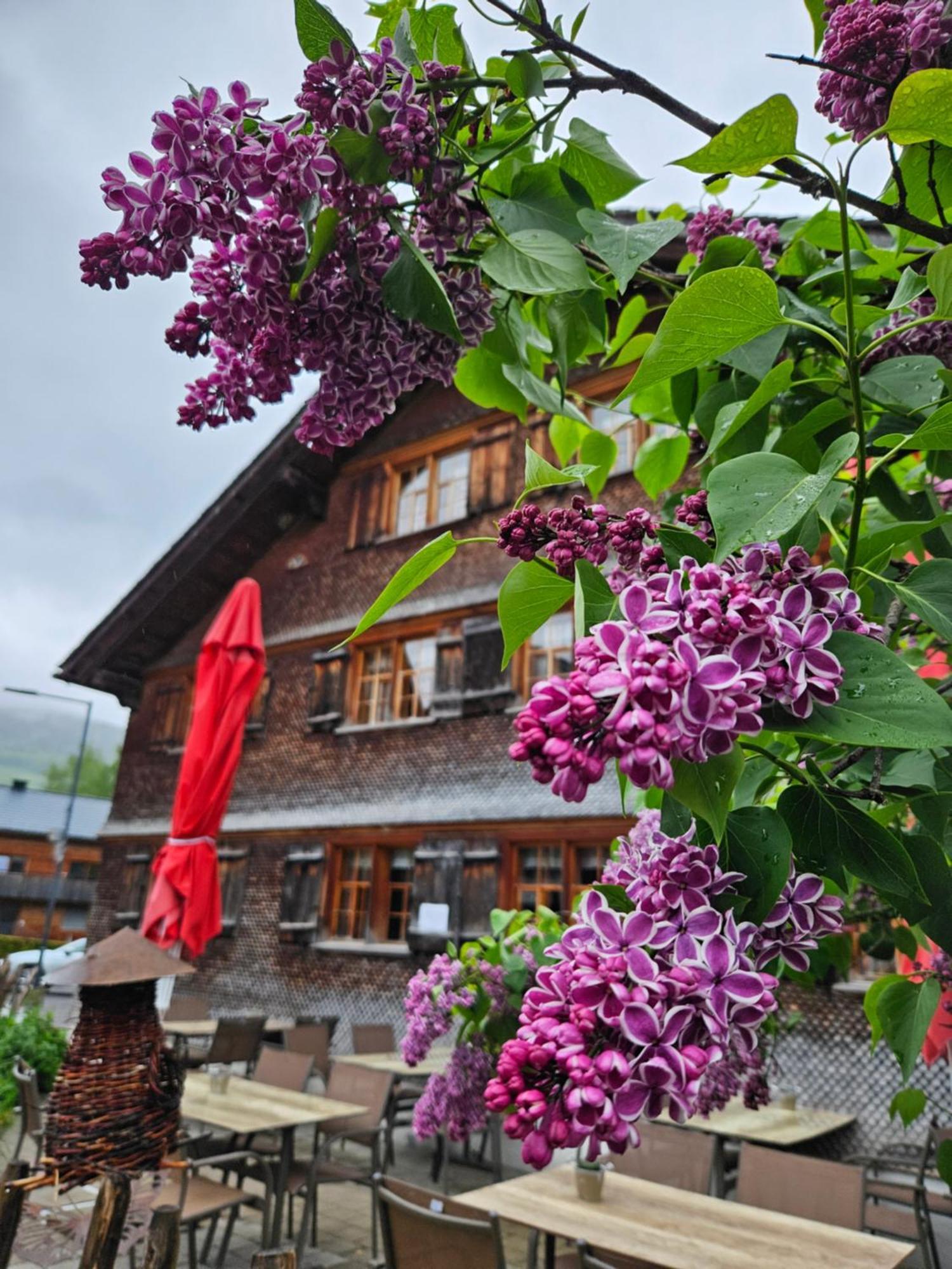 Naze'S Hus Mellau Exterior foto
